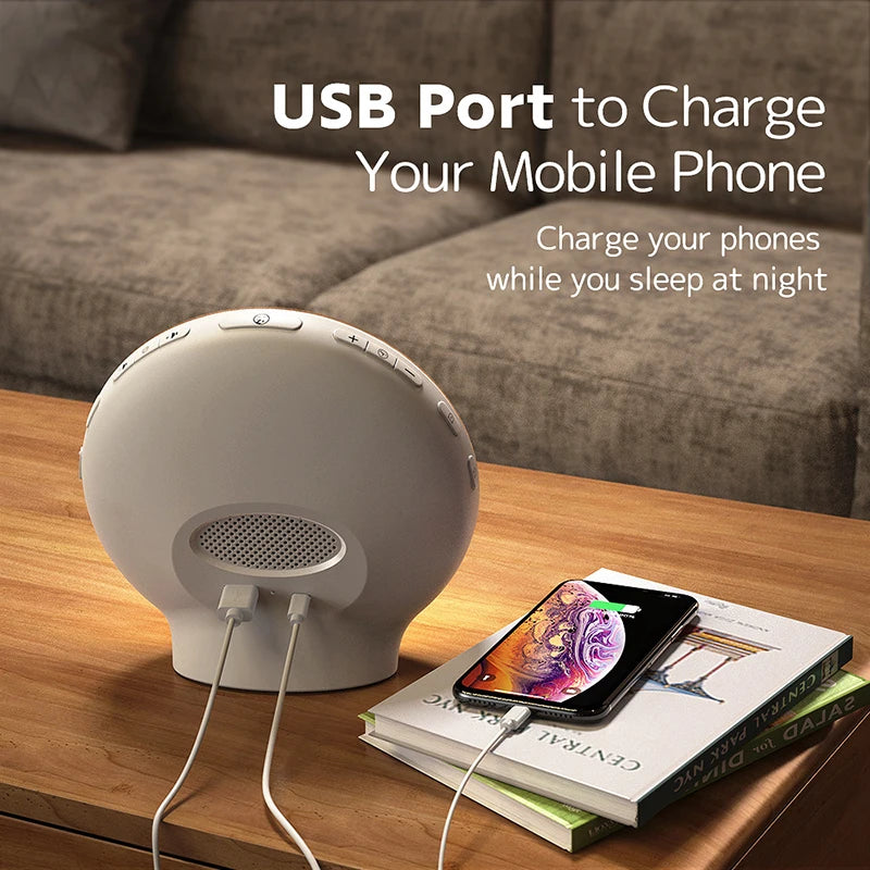 Sunrise Alarm Clock with Light Simulation, FM Radio & USB Charging
